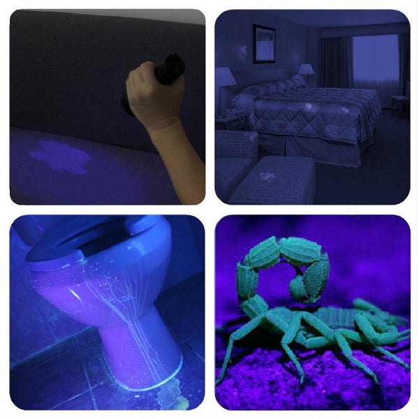9 LED Ultraviolet UV Blacklight Flashlight - alltrolite
