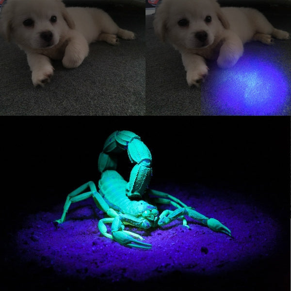 9 LED Ultraviolet UV Blacklight Flashlight - alltrolite